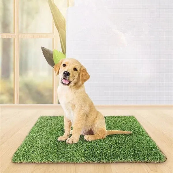 Green plastic emulational grass dog toilet mat on floor