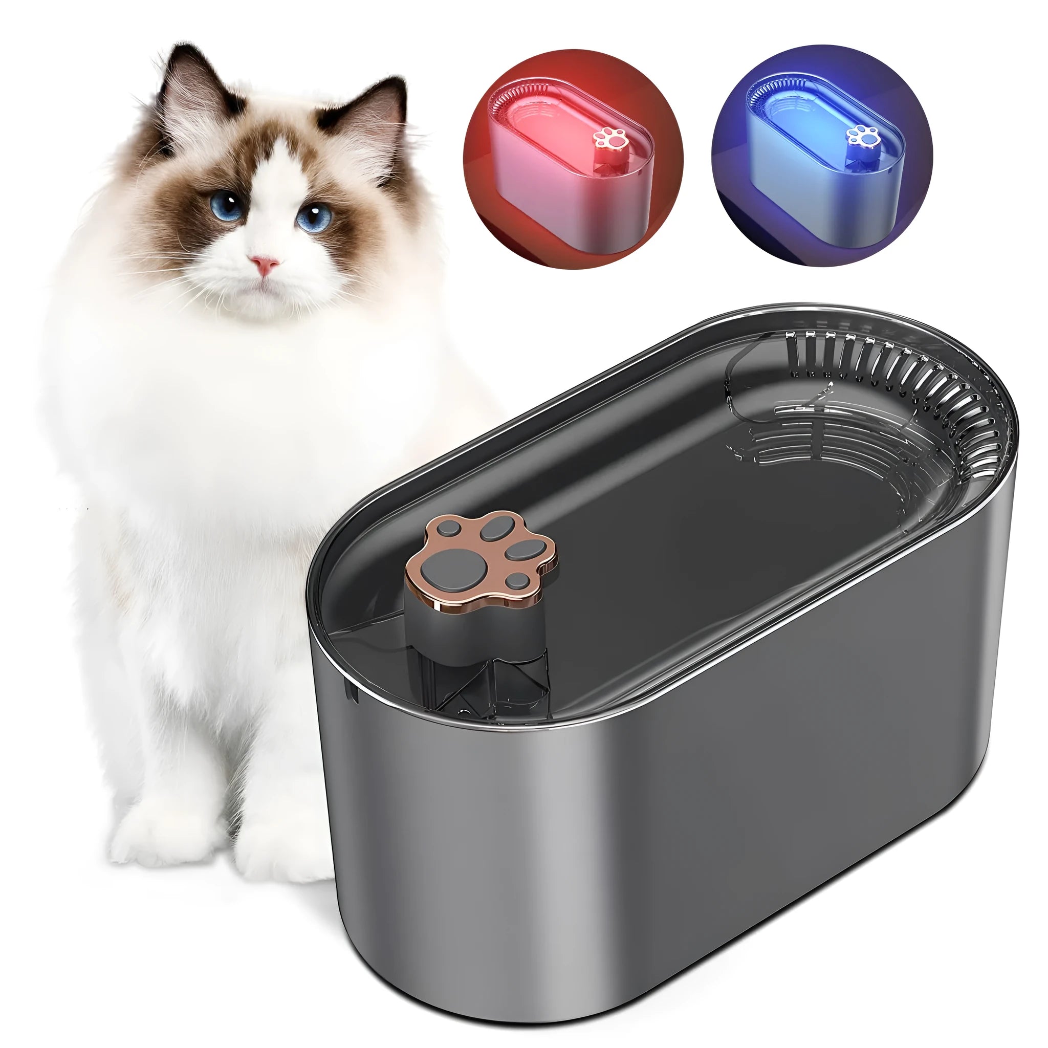 3 litre automatic pet water fountain in Berlin blue colour with LED light and filter system