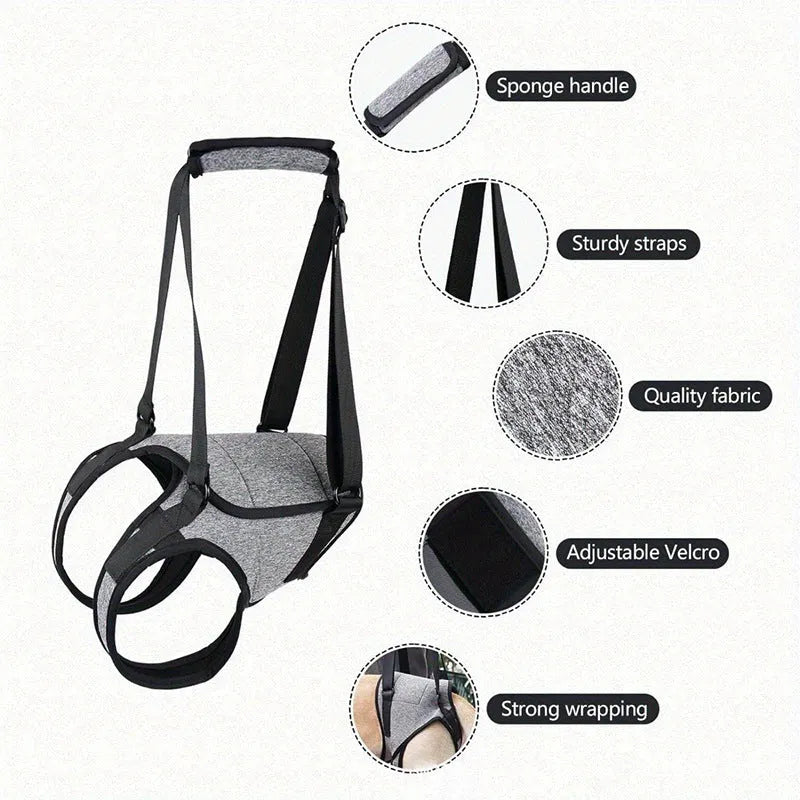 Grey neoprene dog recovery belt showing adjustable waist and thigh straps for hind leg support