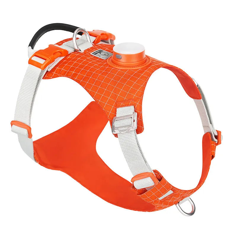 Nylon dog chest harness with LED light and traction handle in multiple colour options