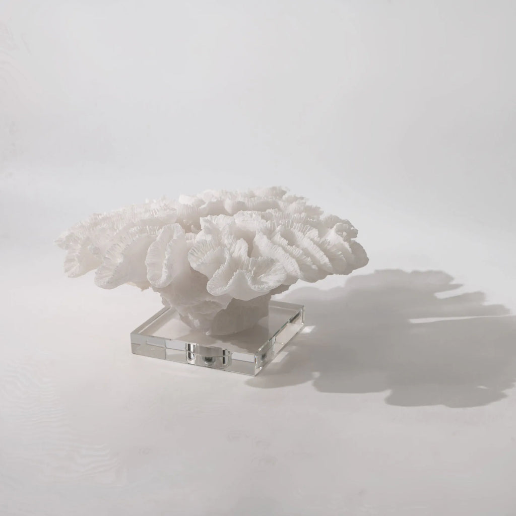 Resin coral ornament in coral colour A167 measuring 34x31x15cm on a desk