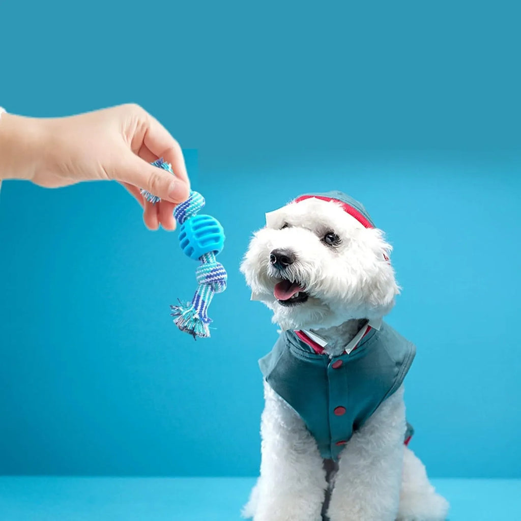 Blue dog chew toy with rope elements for dental cleaning and oral health protection