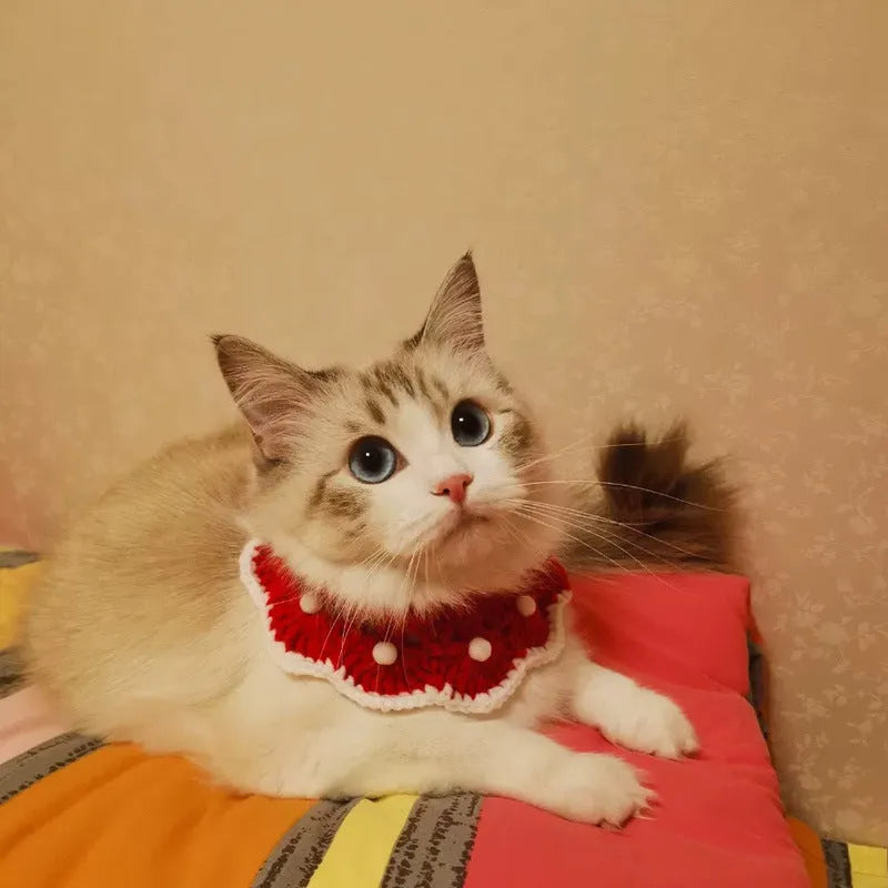 A cartoon-patterned wool knitted pet collar for small dogs, cats, or rabbits in milk cotton.