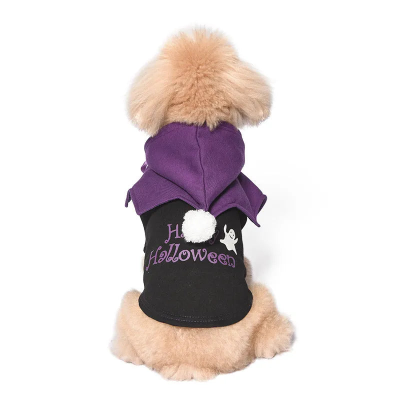Orange and black two-piece Halloween dog costume with sweater and shawl showing pumpkin theme