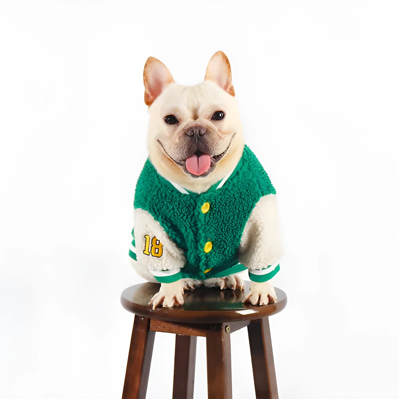 Green fleece-lined dog winter jacket for larger breeds sizes L XL XXL 3XL 4XL