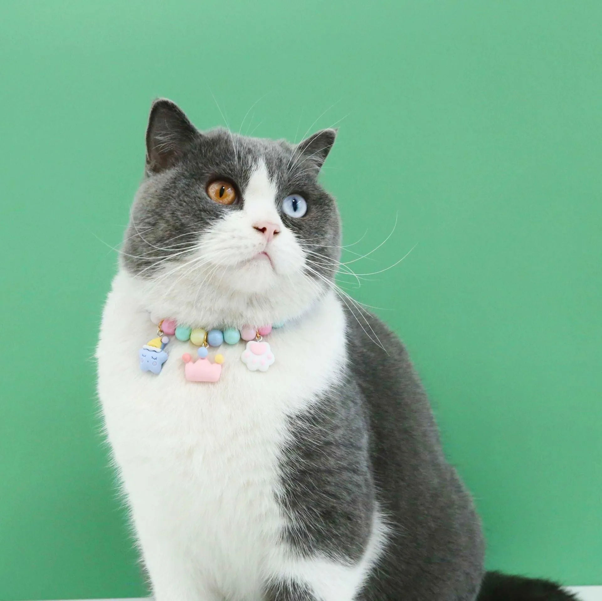 Colourful resin bead pet headdress collar with macaron-themed charms for cat or dog birthday accessories