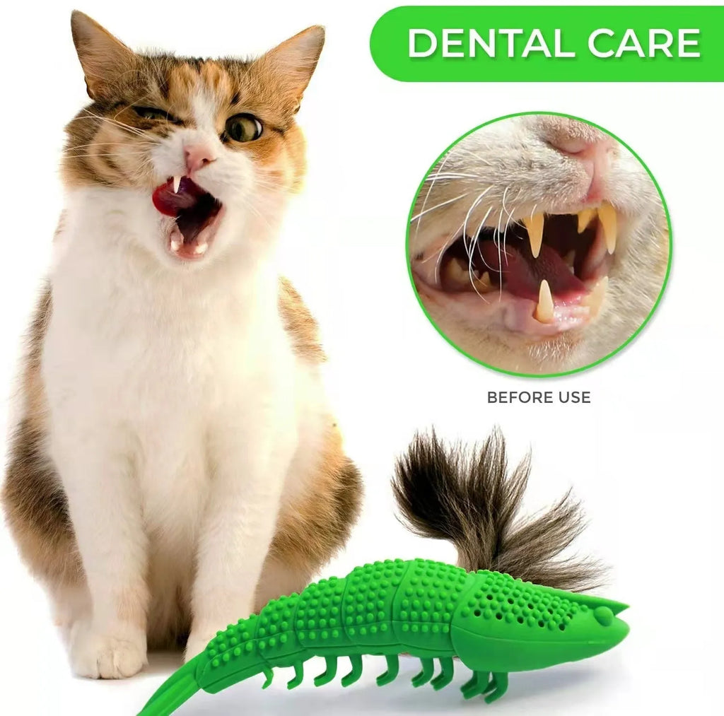 Blue hard rubber cat chew toy with textured surface for dental cleaning containing catnip and bell