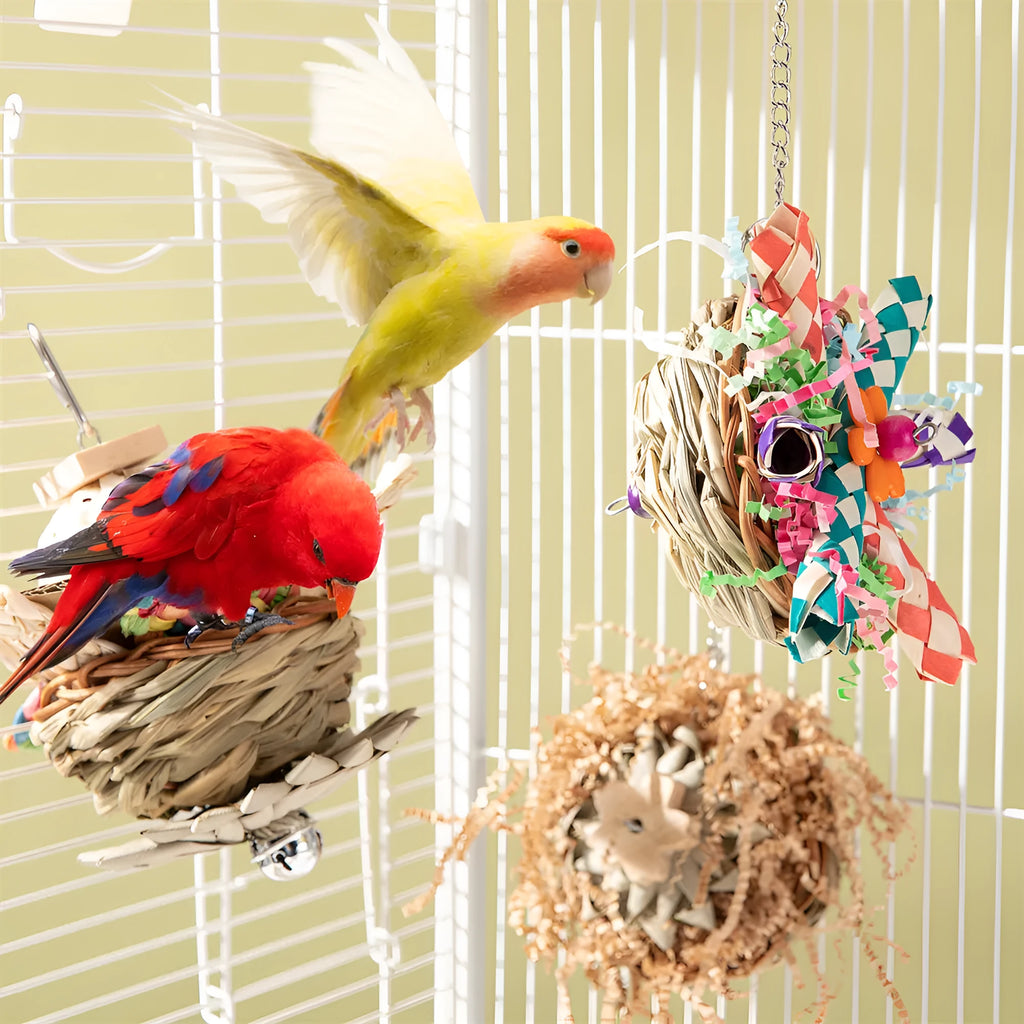 Parrot gnawing toy shown in three different size sets for bird beak conditioning