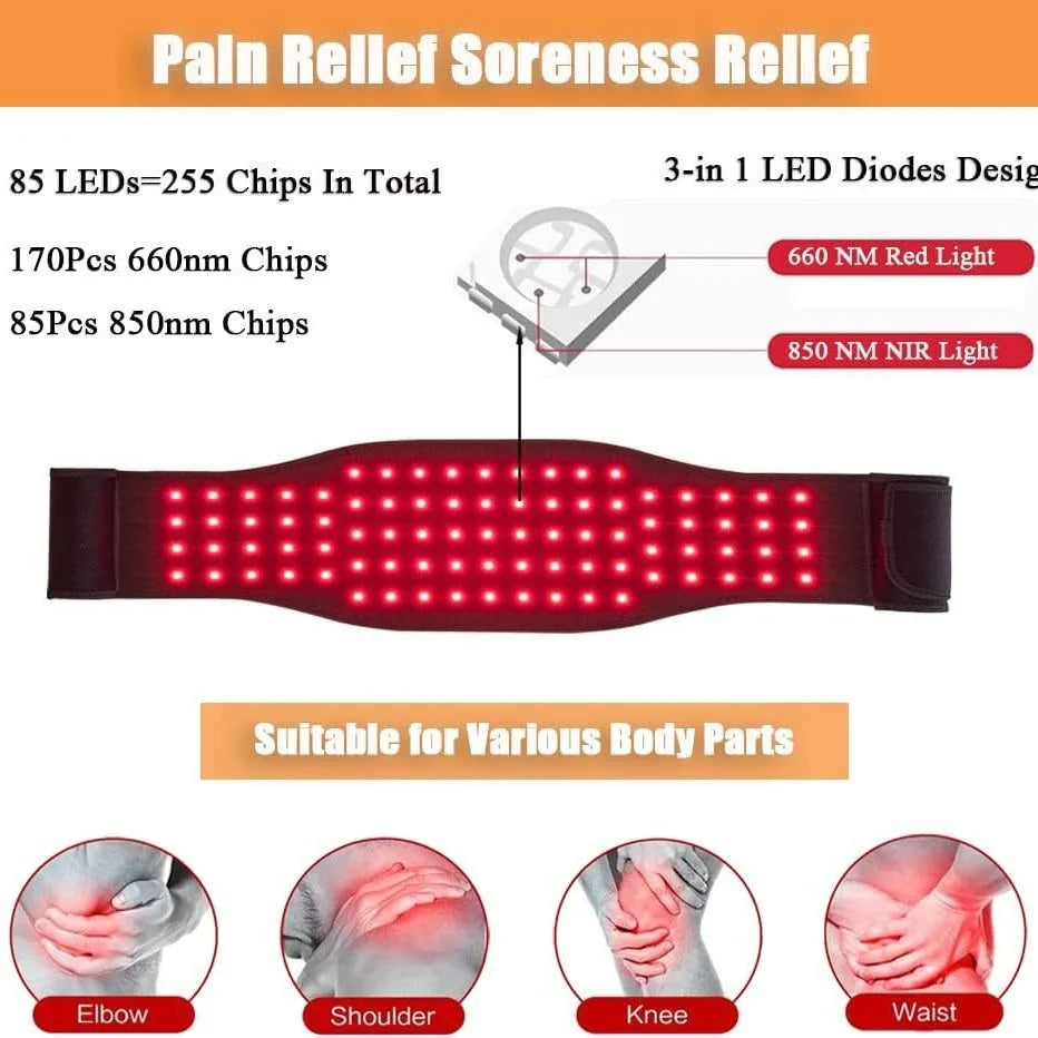 Black infrared therapy belt for waist pain relief with red light technology and international power plugs