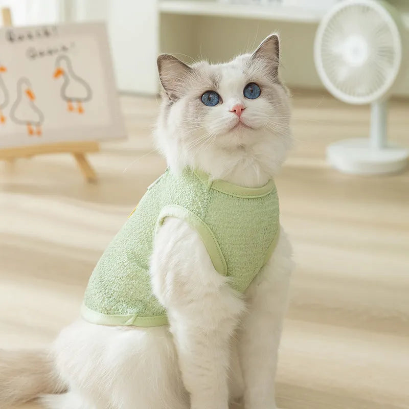 Cat wearing breathable hollowed-out knitted clothing with cartoon bear patch in blue colour