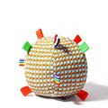 Blue and green vocal ball ring dog toy with rolling molar teeth pattern, 17cm diameter