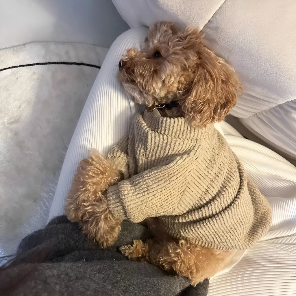 Brown knit dog sweater pullover for small breeds in sizes from XS to XL