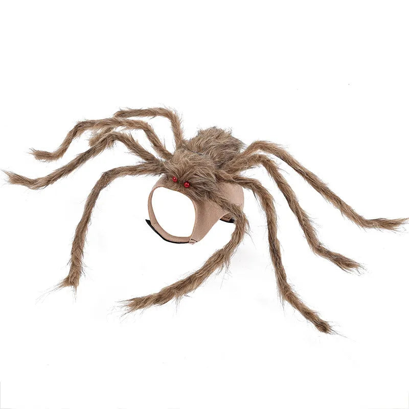 Grey spider costume on a dog for Halloween, showing full-body coverage.