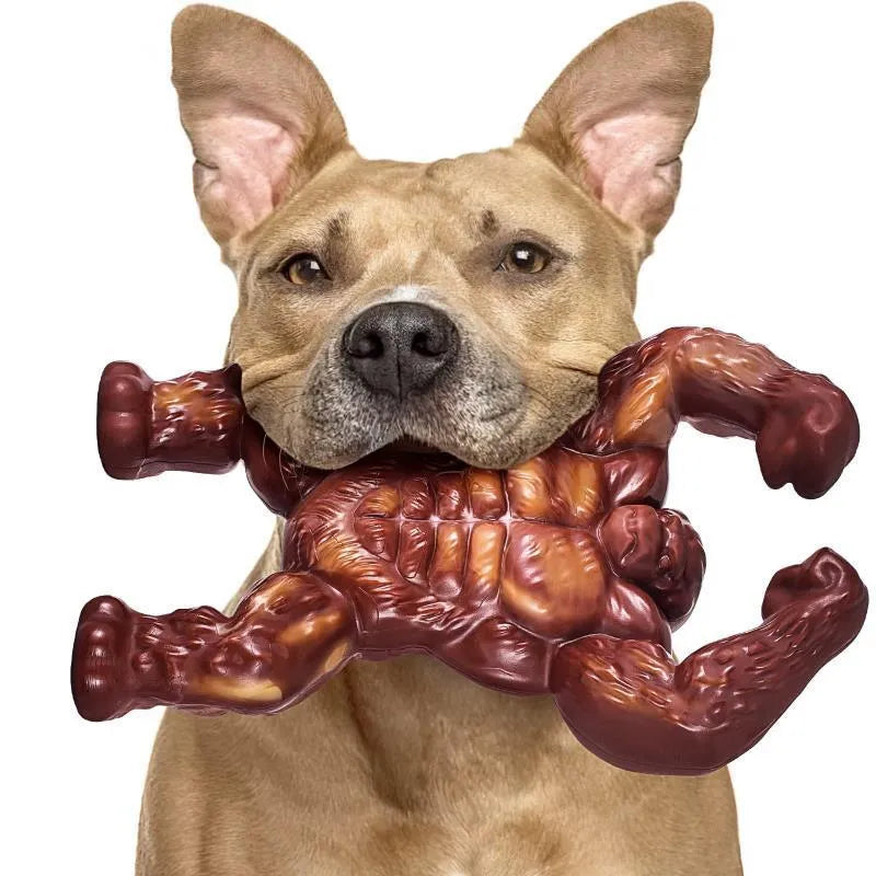 Scarlet nylon dog molar nibbling toy with beef flavour measuring 17.2cm for pet dental care