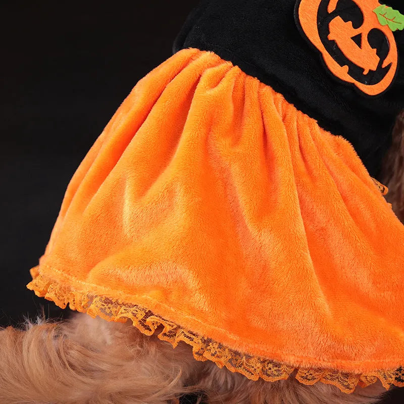 Halloween pumpkin pet costume for dogs and cats in crystal velvet material with sizing options