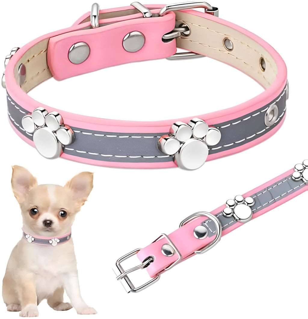 Reflective brown leather dog collar with metal buckle and paw print rivet, shown on a size chart.