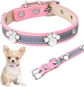 Reflective brown leather dog collar with metal buckle and paw print rivet, shown on a size chart.