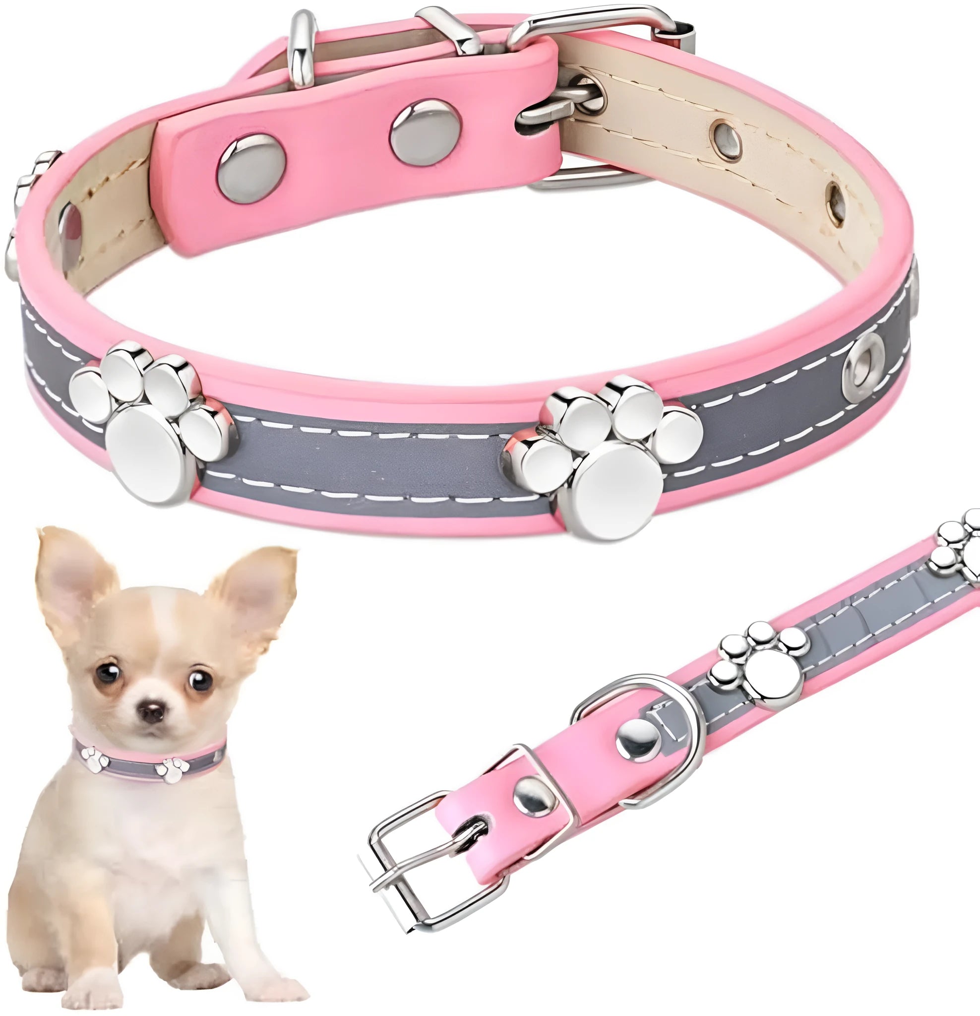 Reflective brown leather dog collar with metal buckle and paw print rivet, shown on a size chart.