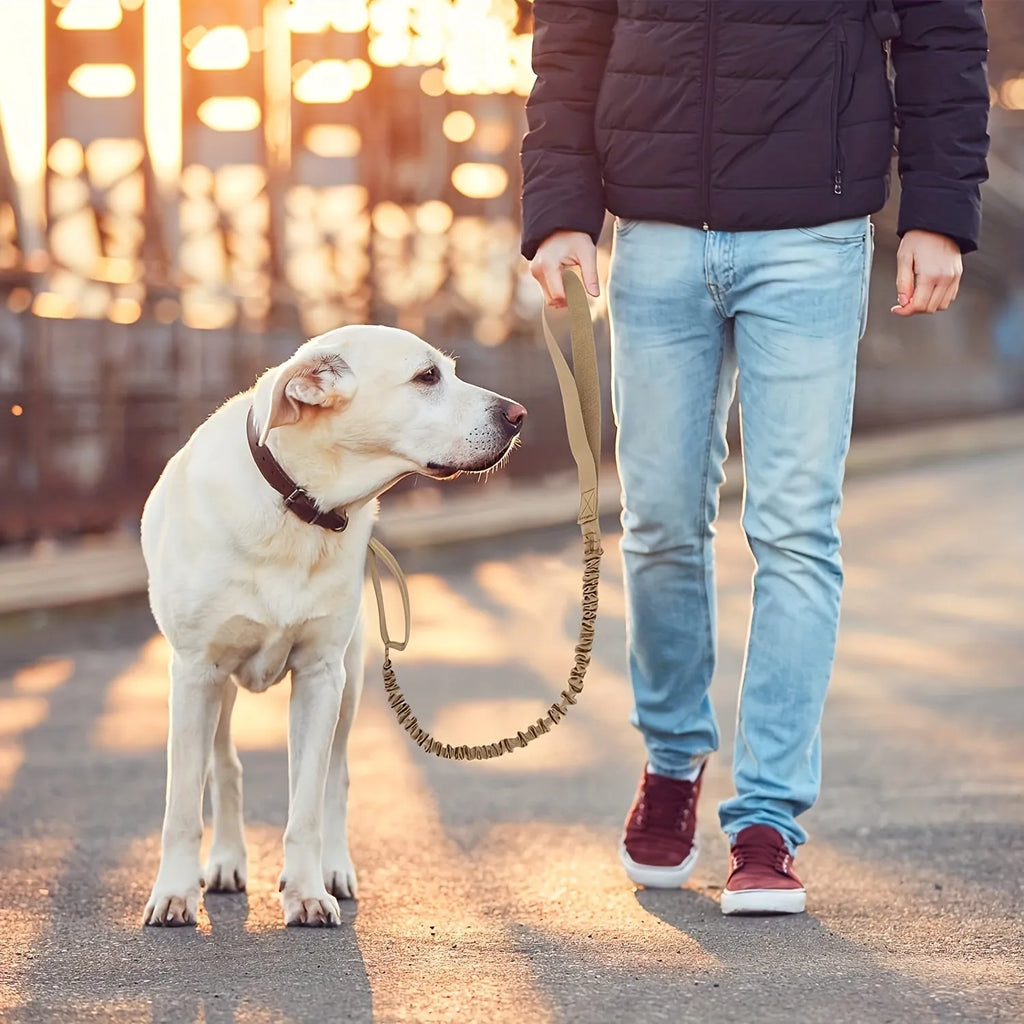 Retractable leash for large dogs in black with anti-burst technology on a grassy park background