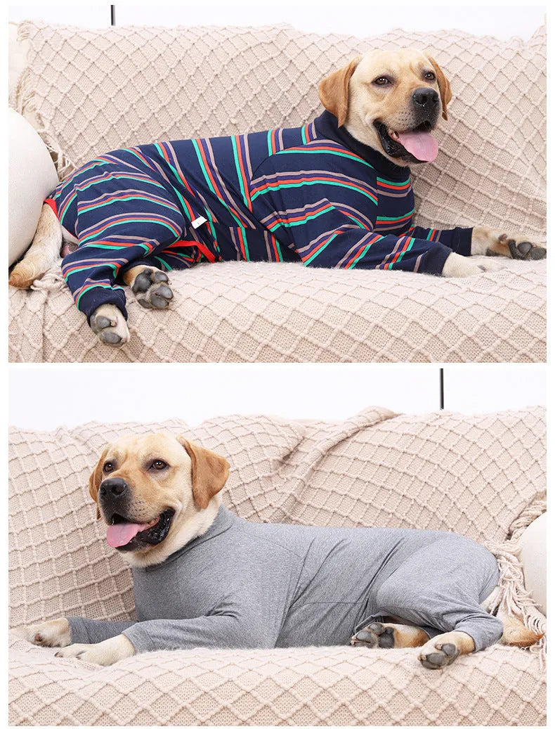 Grey fully enclosed high elastic four-legged cotton dog pajamas on a small dog