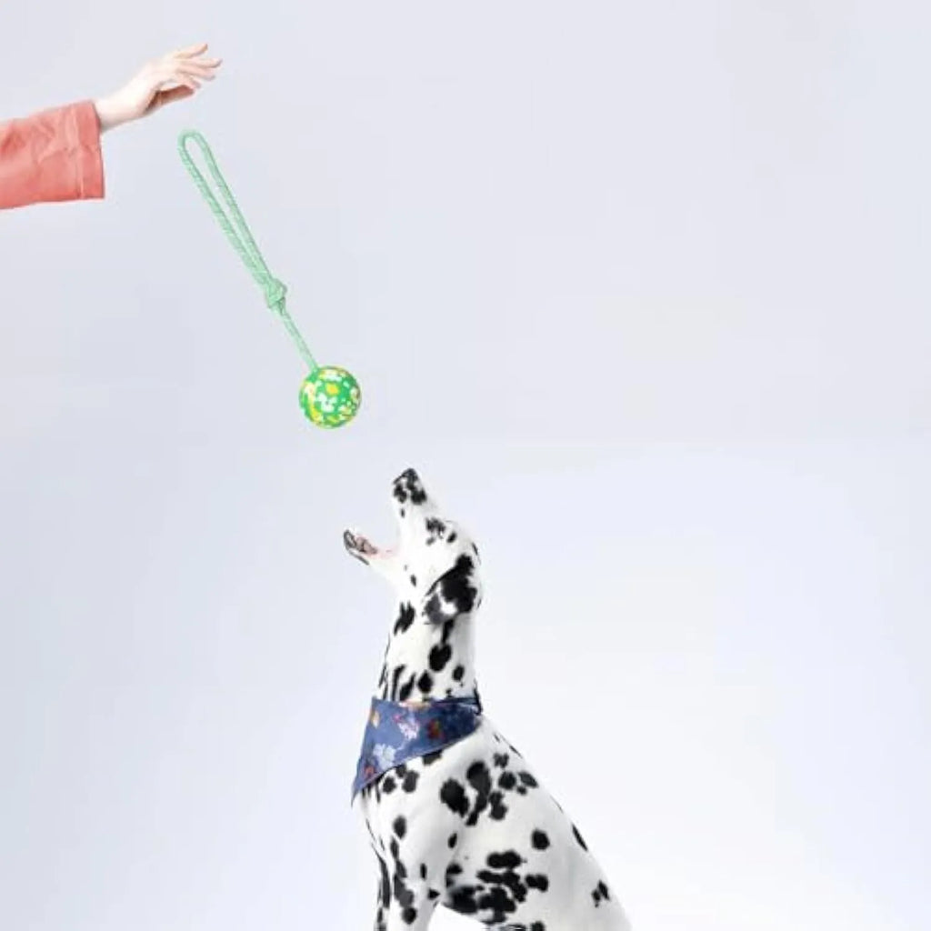 Natural rubber dog ball attached to a blue nylon rope for interactive fetch and tug toy