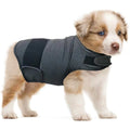 Dog wearing brocade cotton separation anxiety tank top in one of six available colours