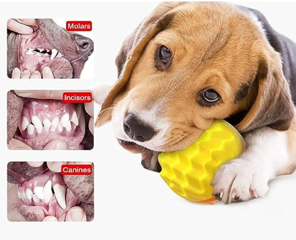Blue squeaky rubber dog ball with spiky texture for dental cleaning and aggressive chewers