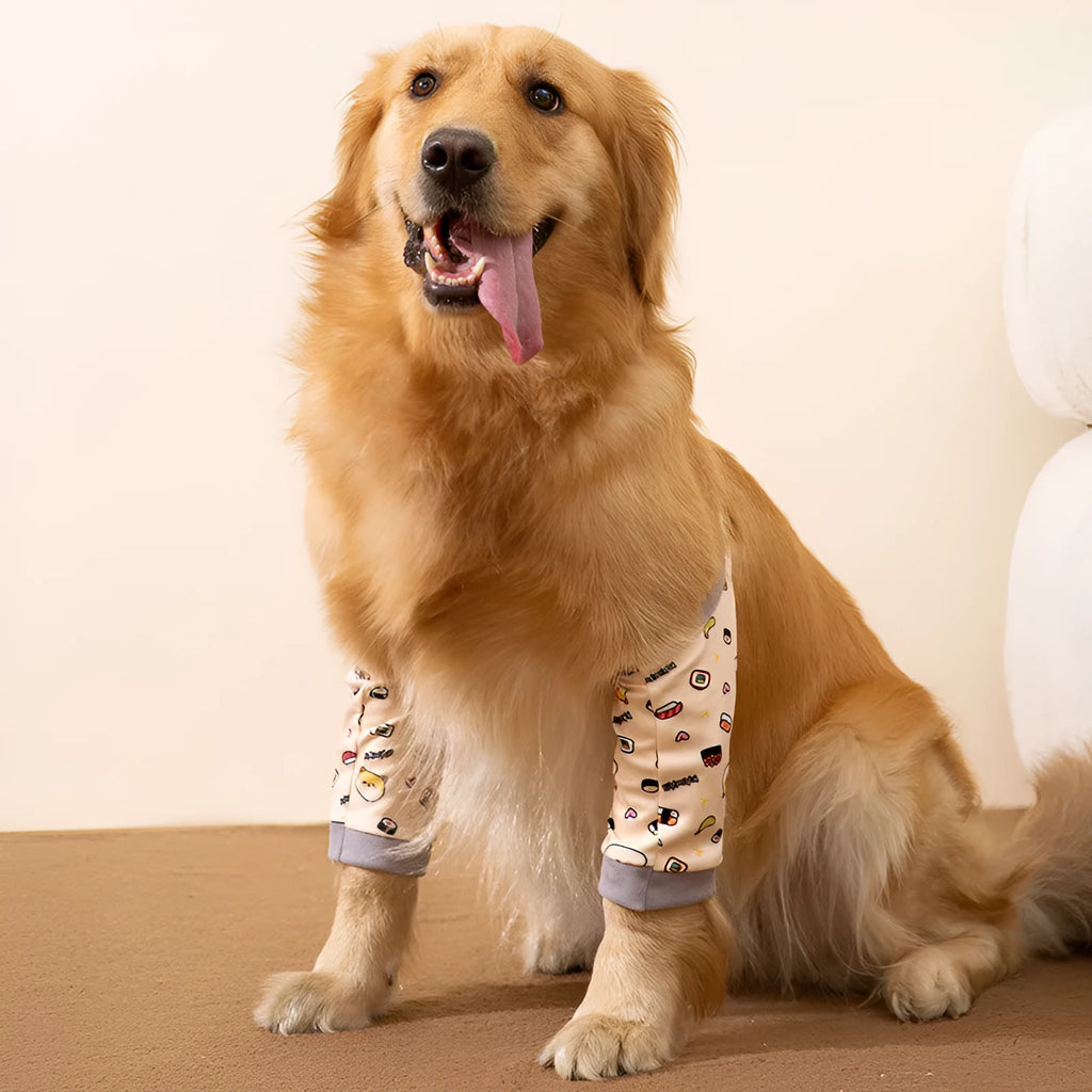 Blue dog knee protector with adjustable buckle and coordinating scarf for medium large breeds