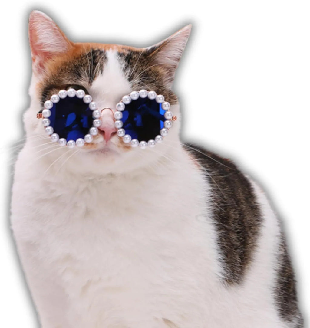 Pearl-rimmed round sunglasses on a cat or dog, shown in blue, black, coffee, orange, and purple colour options.