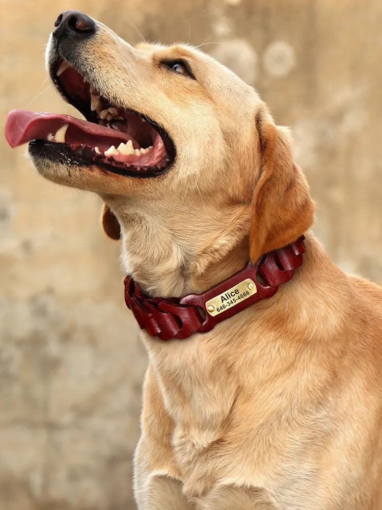 Braided cowhide leather dog collar in Dark Brown colour, with zinc alloy buckle, on a neutral background