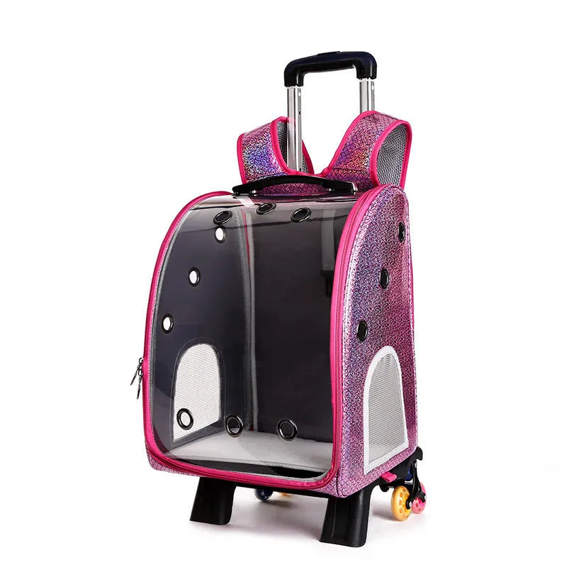 Transparent pet trolley carrier with folding design for small dogs and cats