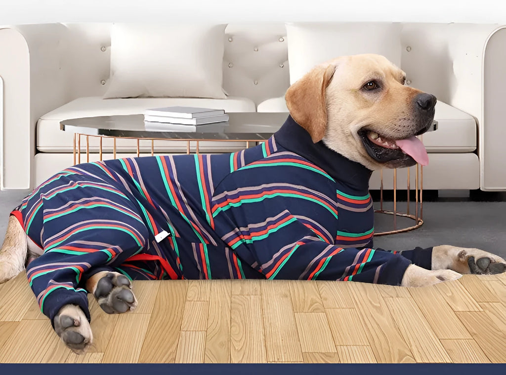 Grey fully enclosed high elastic four-legged cotton dog pajamas on a small dog