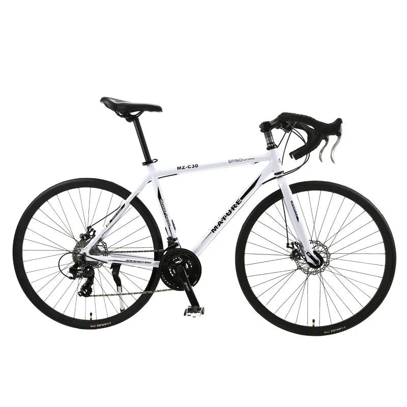 Aluminium alloy road bike 21 speed with double disc brakes in titanium silver