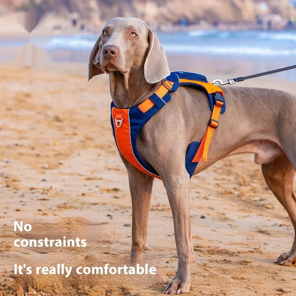 Nylon dog chest strap vest harness in orange blue colour with single chest back design
