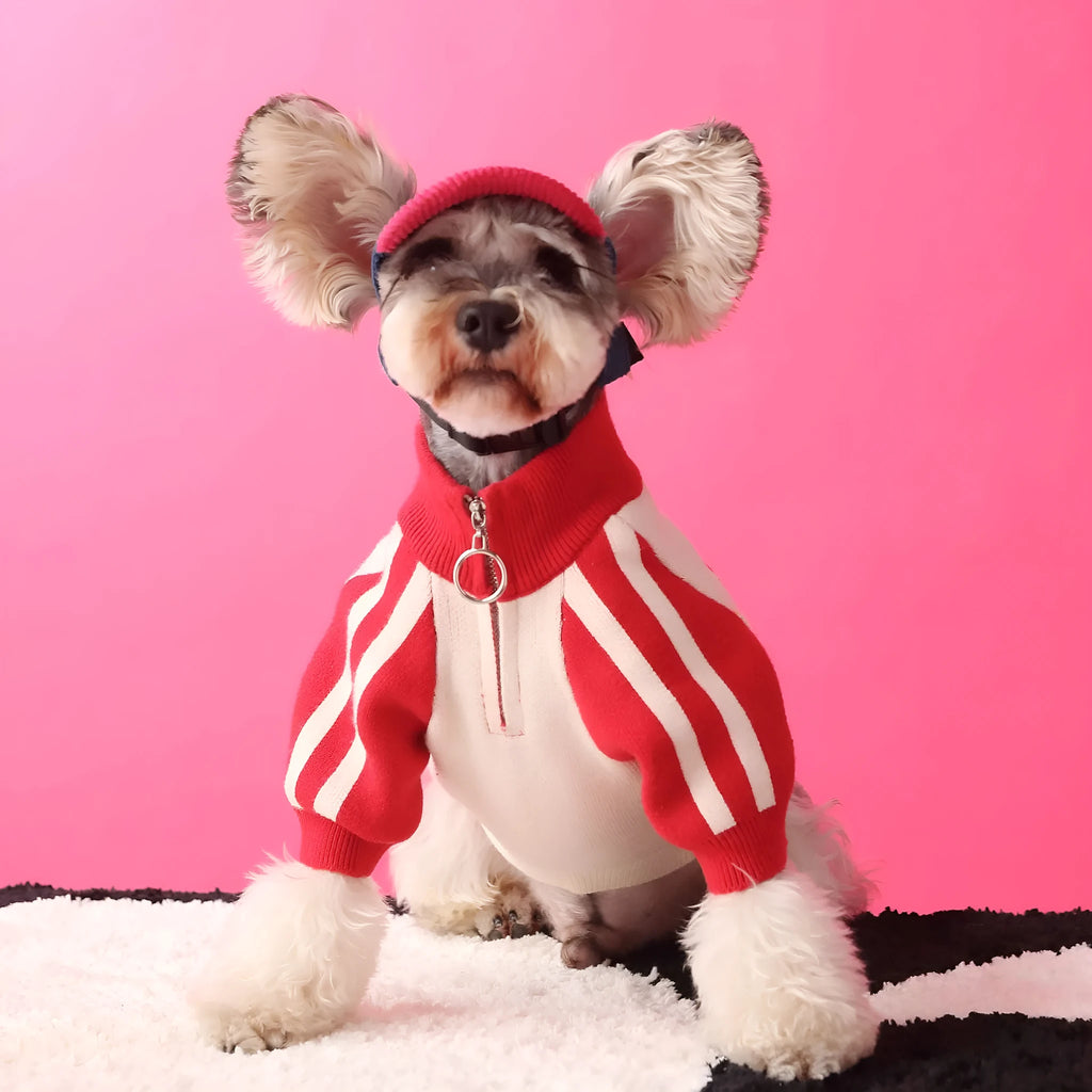 Red wool puppy dog sports sweater cardigan pet clothing on a dog