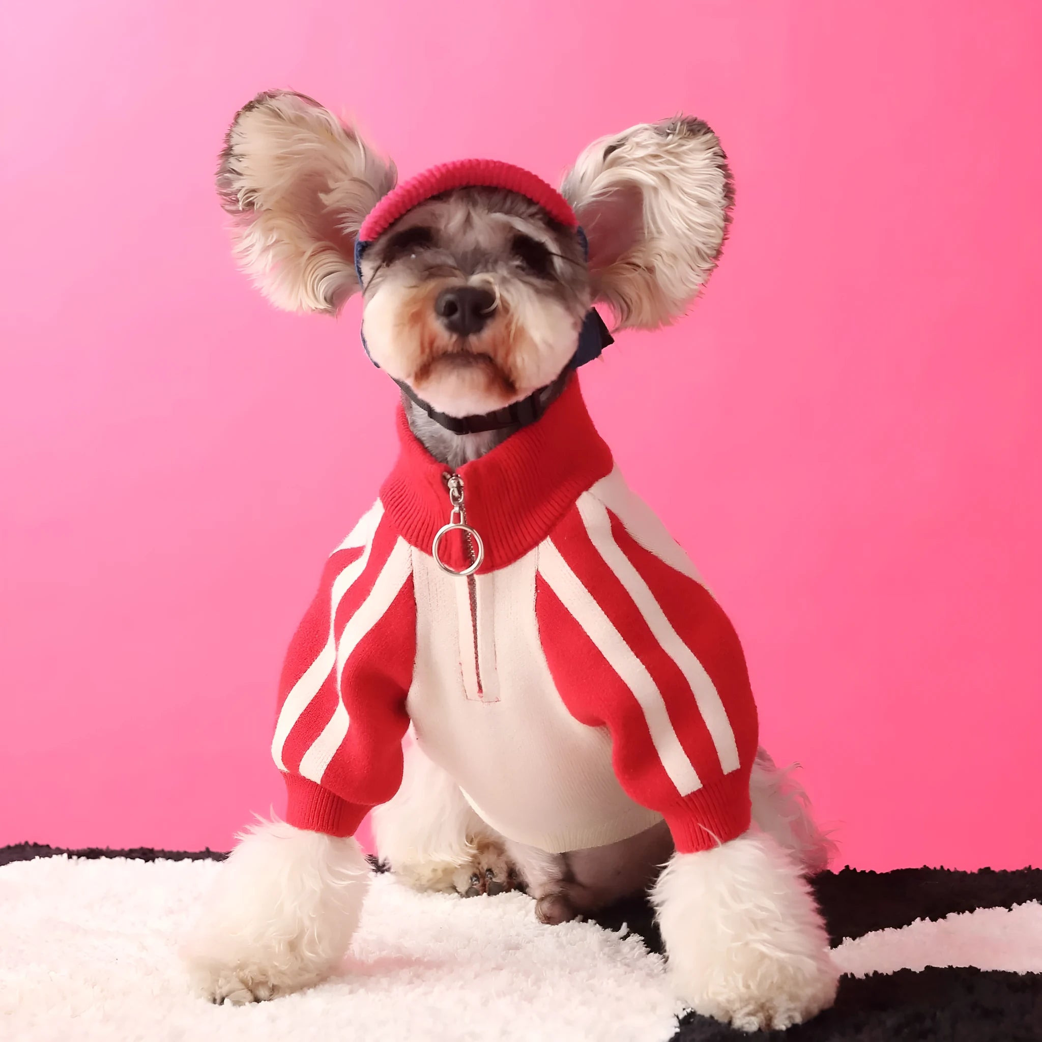 Red wool puppy dog sports sweater cardigan pet clothing on a dog