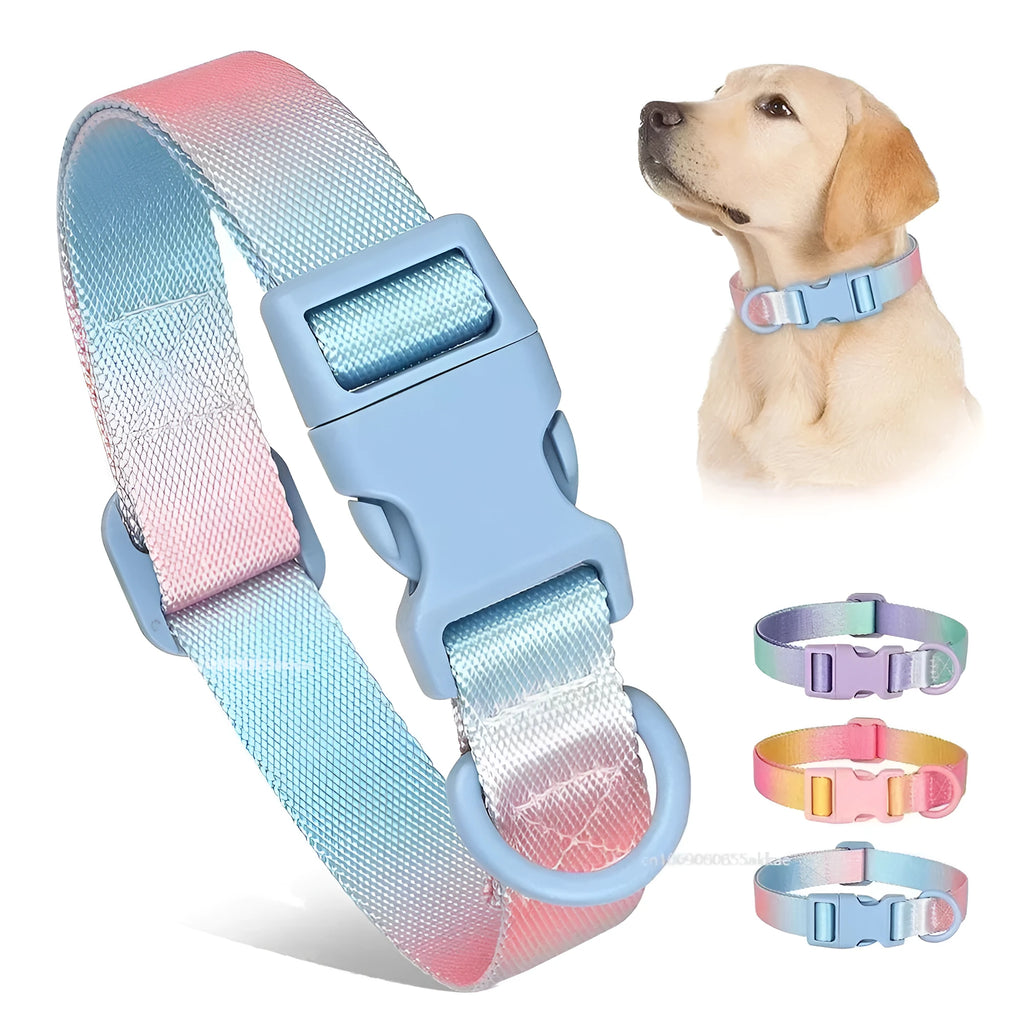 Adjustable nylon dog collar with gradient colour, available in sizes S M L for small medium large dogs