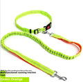 Reflective nylon dog leash with elastic sling grip in blue and red colour combination