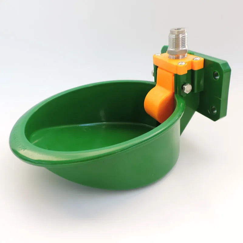 Green plastic livestock drinking bowl for sheep and pigs on farm