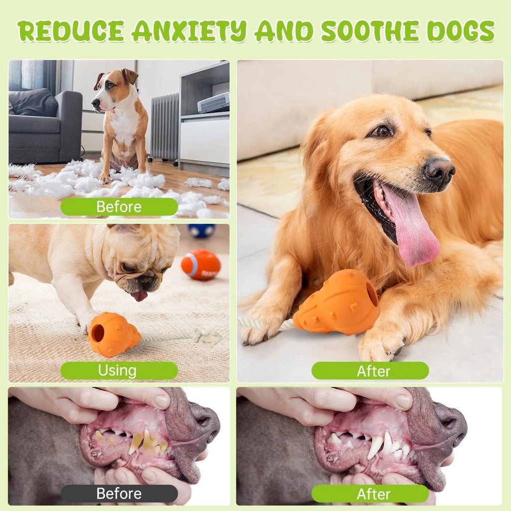 Natural rubber stuffable dog fetch toy with a long strap, shown with treats.