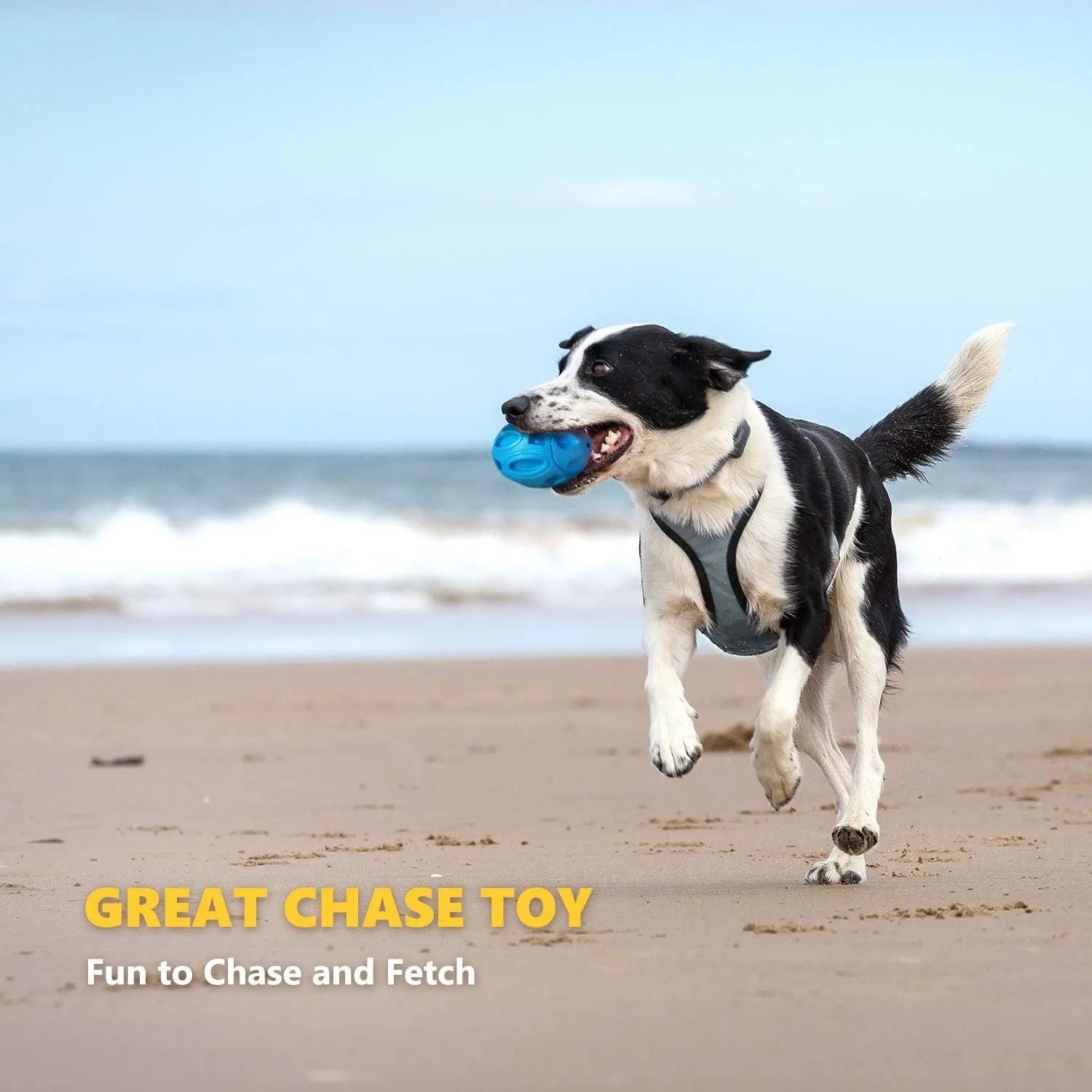 Natural rubber squeaky dog chew ball in blue, green or orange for medium large breeds