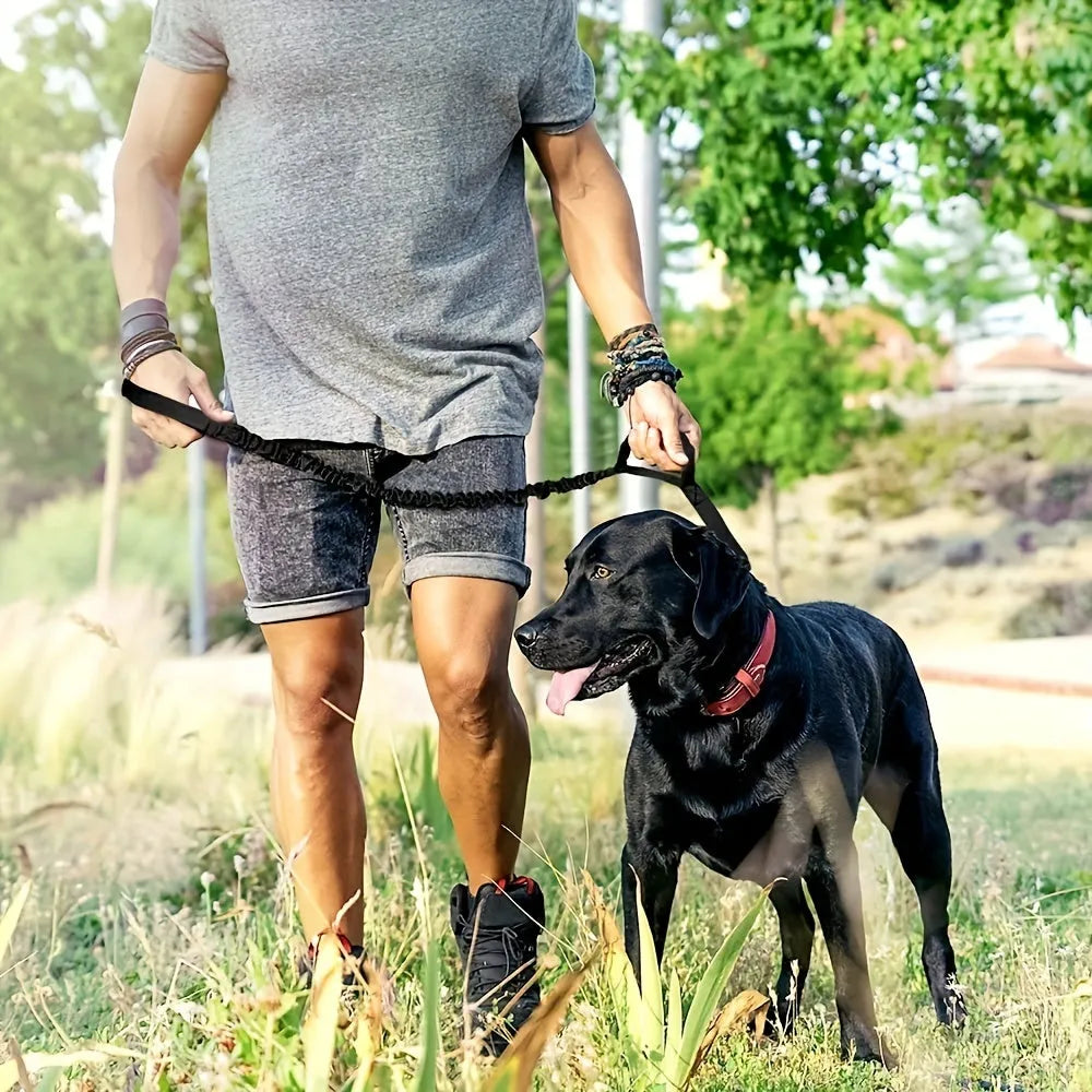 Retractable leash for large dogs in black with anti-burst technology on a grassy park background