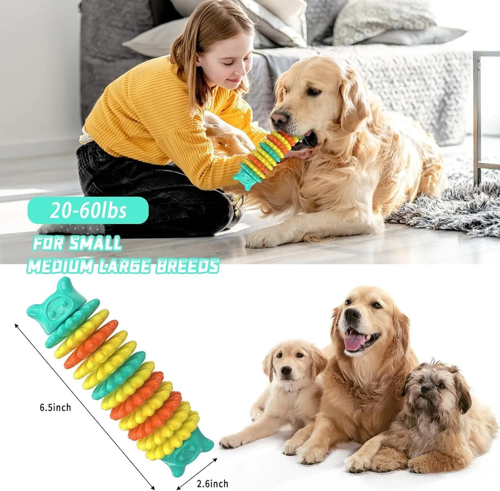 Blue caterpillar-shaped natural rubber dog chew toy for aggressive chewers