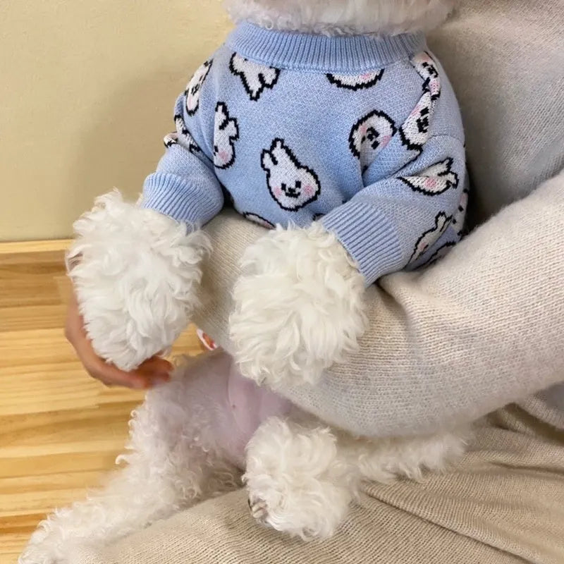 Small dog wearing a blue knitted sweater with charming pattern, warm soft polyacrylic material