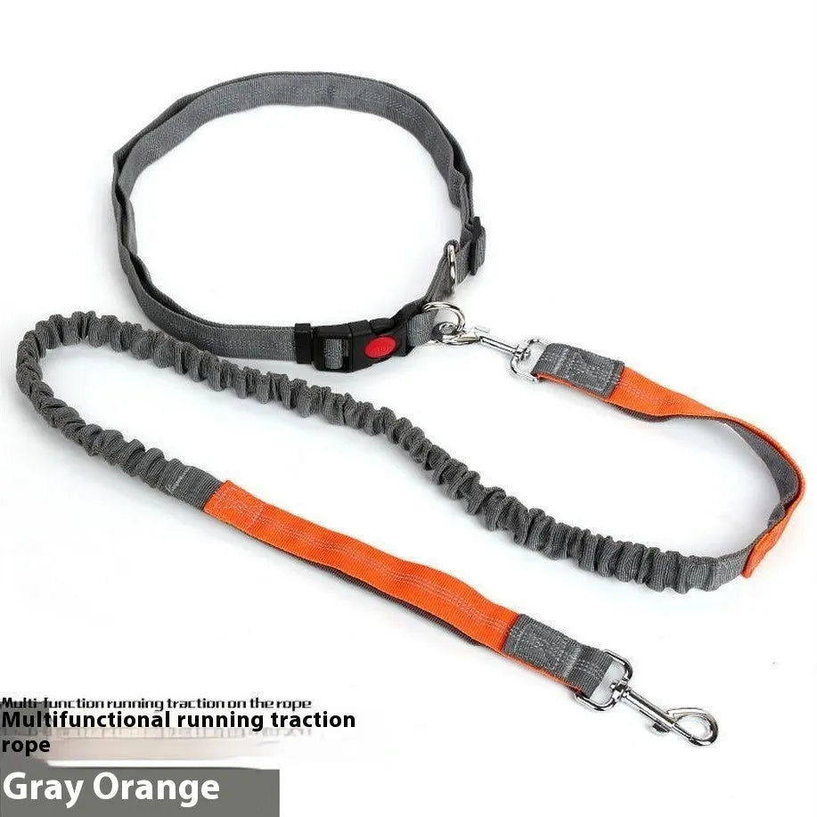 Reflective nylon dog leash with elastic sling grip in blue and red colour combination