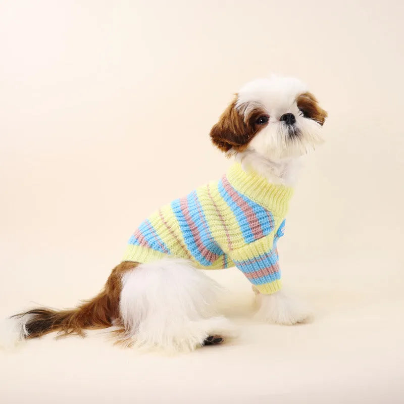 Blue and yellow striped wool dog jumper for small breeds shown in casual style