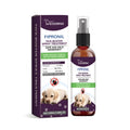 100ml bottle of pet pest spray for dogs and cats, showing dimensions of 3.7cm by 14.5cm.
