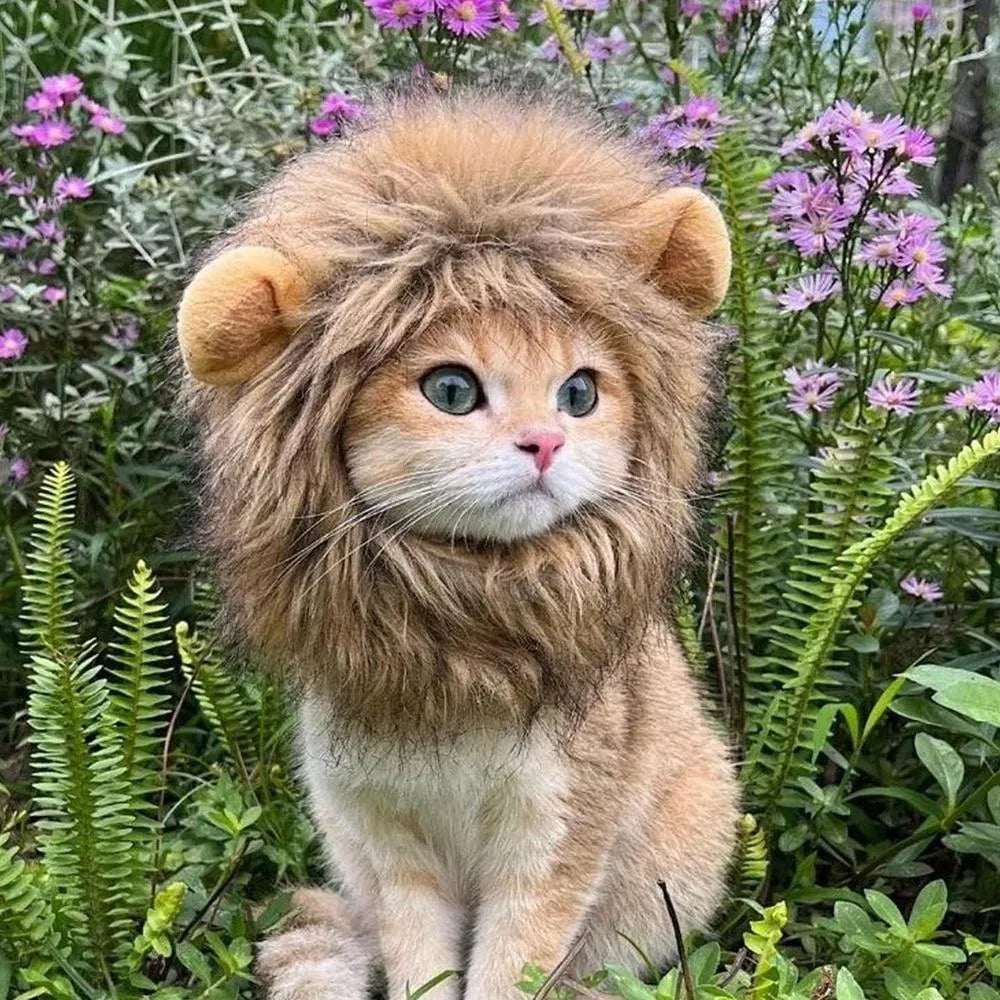 Adjustable lion mane pet wig with elastic band and plush ears for cats and small dogs