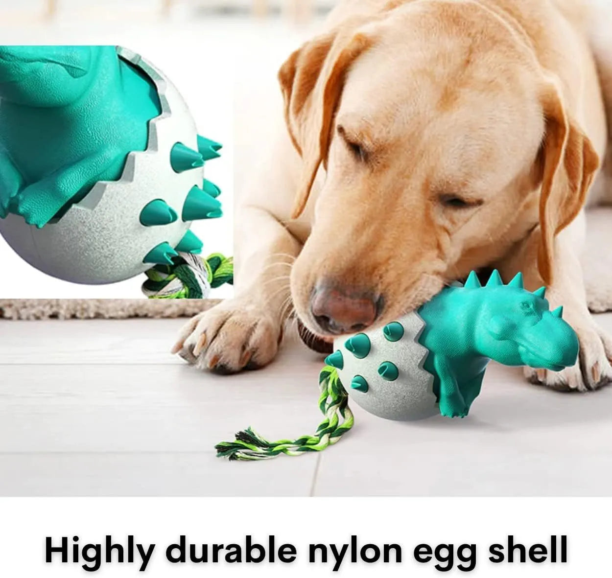 Blue dinosaur dog chew toy with rope attached, showing textured surface with dental nubs