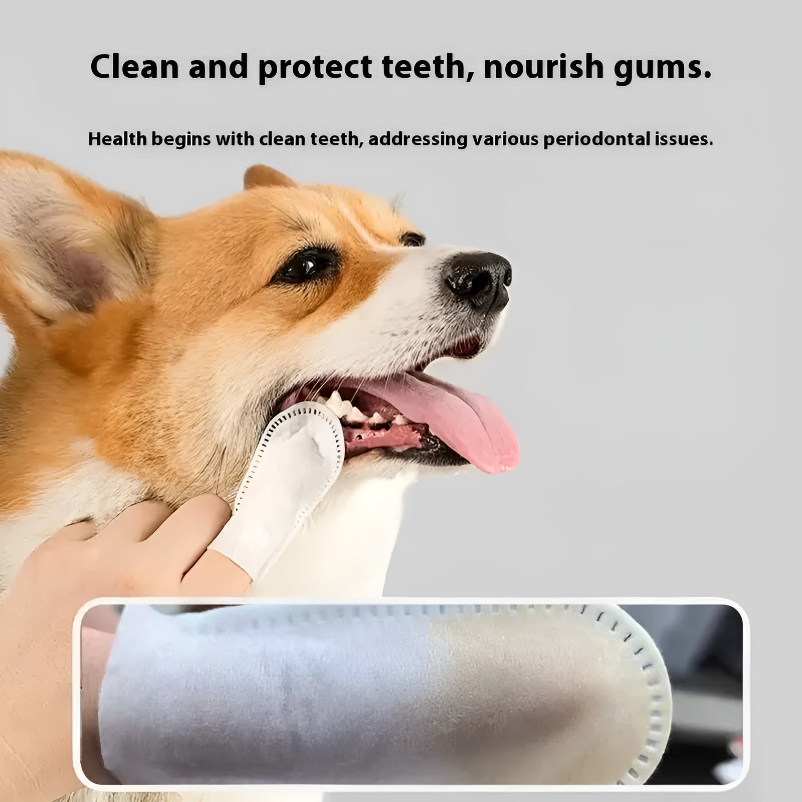 50-piece pack of pet dental finger stalls for cleaning cat and dog teeth